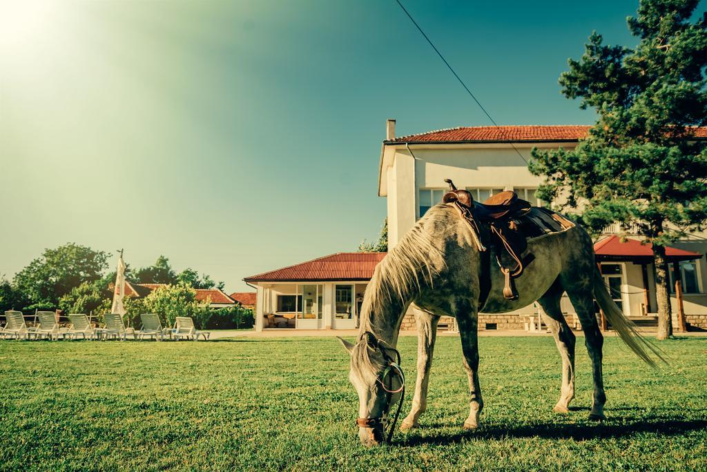 Guest House Ongal Krushuna Exterior foto